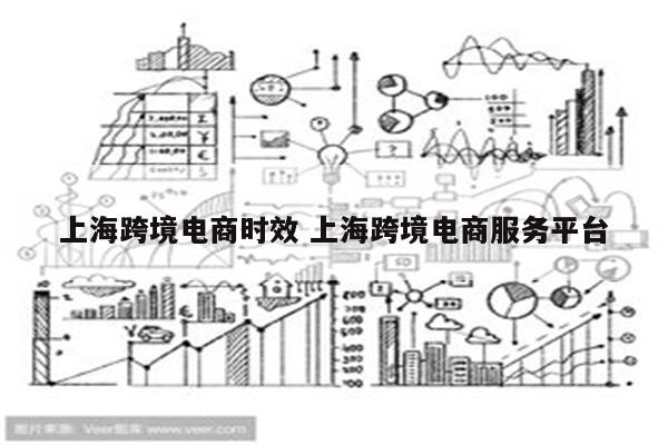 上海跨境电商时效 上海跨境电商服务平台