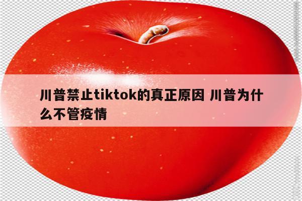 川普禁止tiktok的真正原因 川普为什么不管疫情