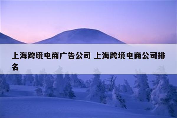 上海跨境电商广告公司 上海跨境电商公司排名