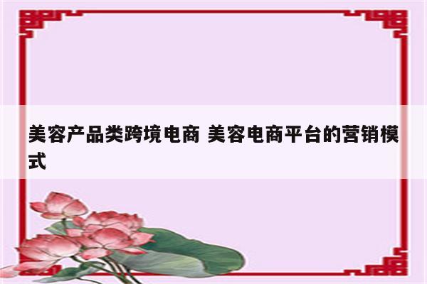 美容产品类跨境电商 美容电商平台的营销模式