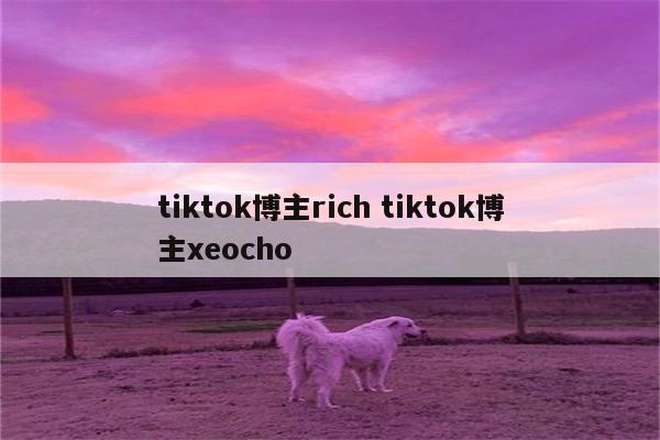 tiktok博主rich tiktok博主xeocho