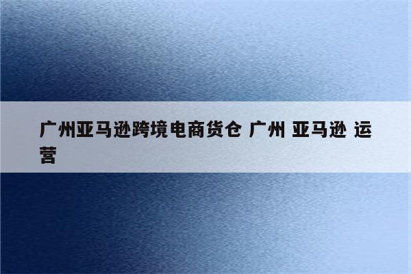 广州亚马逊跨境电商货仓 广州 亚马逊 运营
