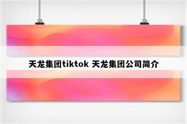 天龙集团tiktok 天龙集团公司简介