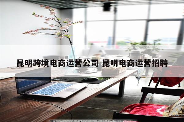 昆明跨境电商运营公司 昆明电商运营招聘