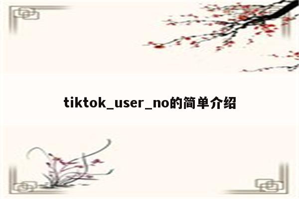 tiktok_user_no的简单介绍