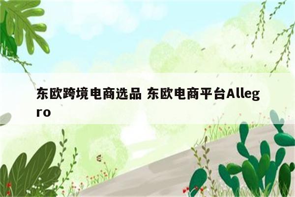东欧跨境电商选品 东欧电商平台Allegro
