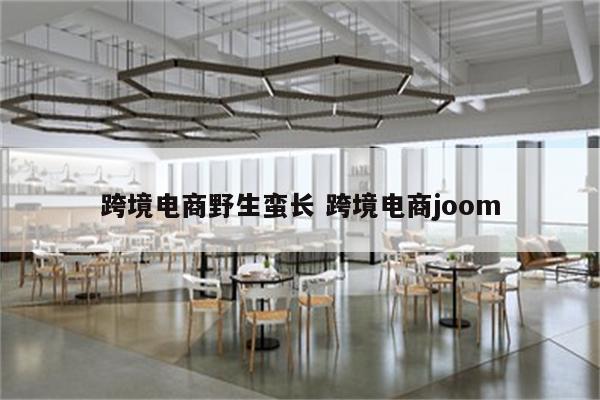 跨境电商野生蛮长 跨境电商joom