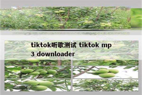 tiktok听歌测试 tiktok mp3 downloader