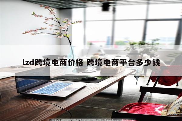 lzd跨境电商价格 跨境电商平台多少钱