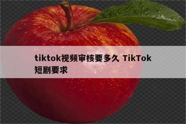 tiktok视频审核要多久 TikTok短剧要求