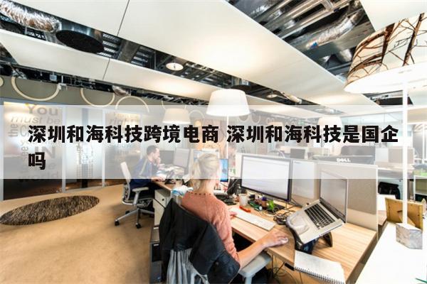 深圳和海科技跨境电商 深圳和海科技是国企吗