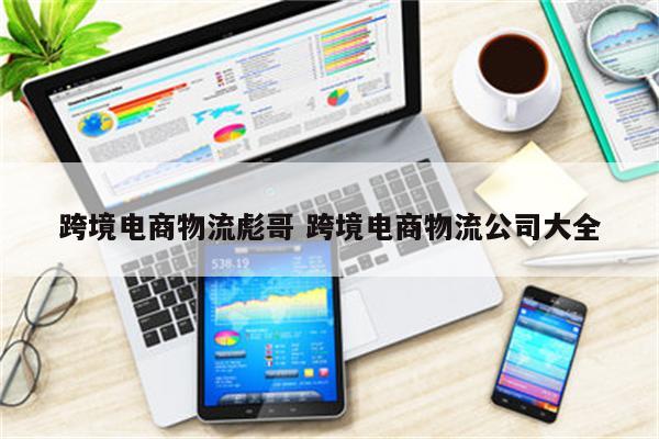 跨境电商物流彪哥 跨境电商物流公司大全