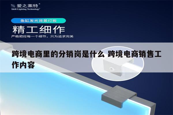 跨境电商里的分销岗是什么 跨境电商销售工作内容