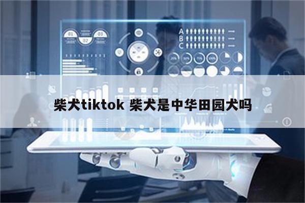 柴犬tiktok 柴犬是中华田园犬吗