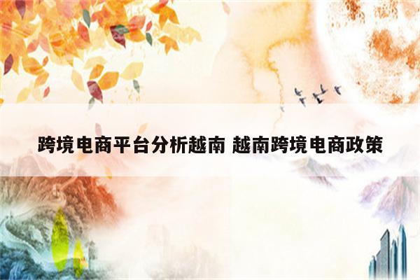 跨境电商平台分析越南 越南跨境电商政策