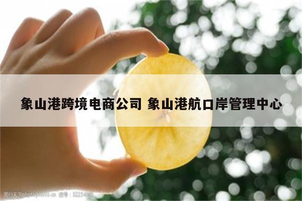 象山港跨境电商公司 象山港航口岸管理中心