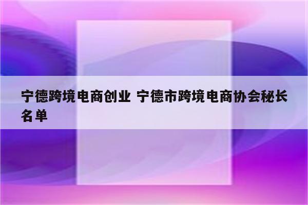 宁德跨境电商创业 宁德市跨境电商协会秘长名单
