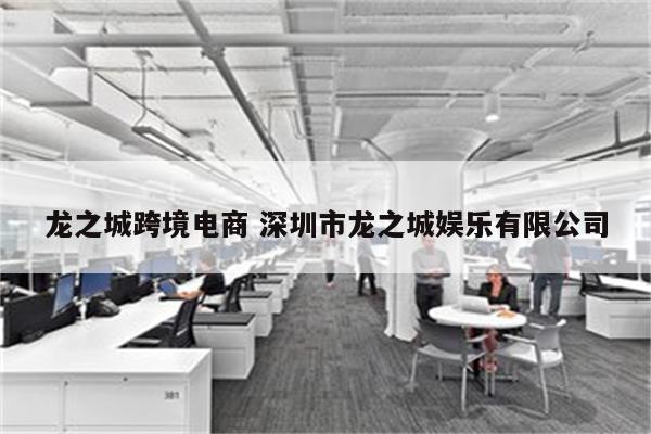 龙之城跨境电商 深圳市龙之城娱乐有限公司