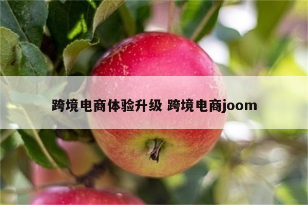 跨境电商体验升级 跨境电商joom