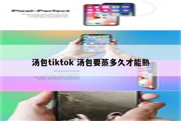 汤包tiktok 汤包要蒸多久才能熟