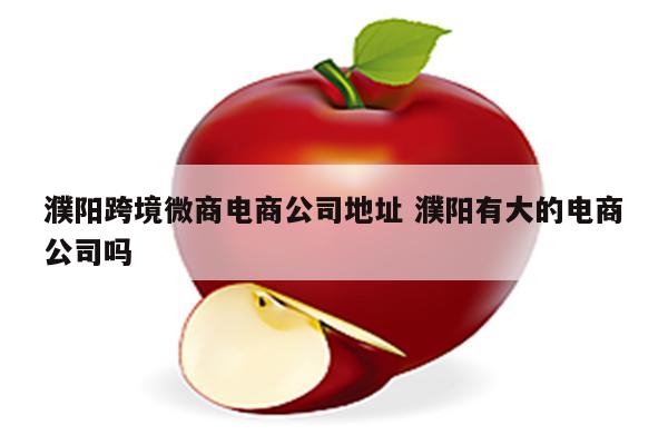 濮阳跨境微商电商公司地址 濮阳有大的电商公司吗