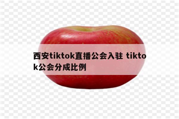 西安tiktok直播公会入驻 tiktok公会分成比例