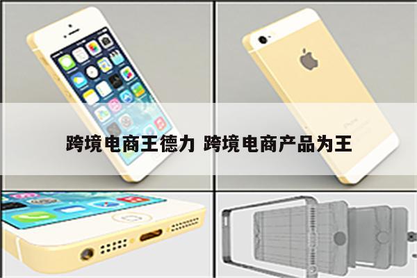 跨境电商王德力 跨境电商产品为王