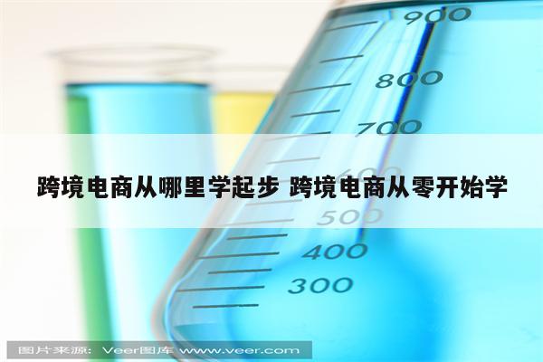 跨境电商从哪里学起步 跨境电商从零开始学