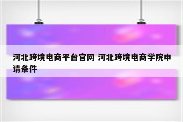 河北跨境电商平台官网 河北跨境电商学院申请条件