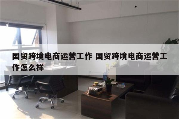 国贸跨境电商运营工作 国贸跨境电商运营工作怎么样