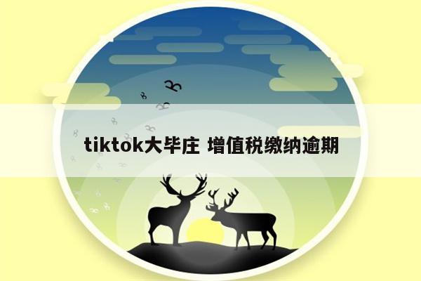 tiktok大毕庄 增值税缴纳逾期