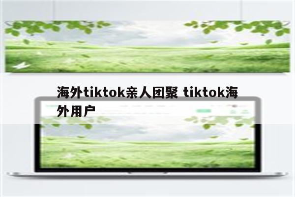 海外tiktok亲人团聚 tiktok海外用户