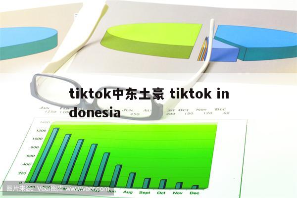 tiktok中东土豪 tiktok indonesia