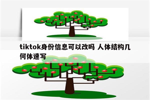 tiktok身份信息可以改吗 人体结构几何体速写