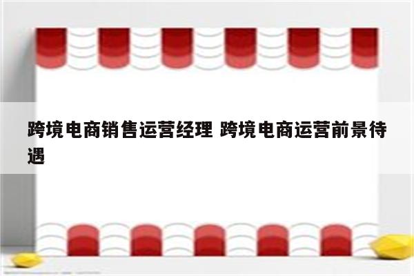 跨境电商销售运营经理 跨境电商运营前景待遇