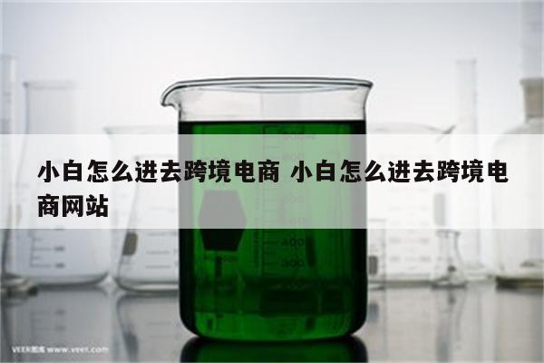 小白怎么进去跨境电商 小白怎么进去跨境电商网站