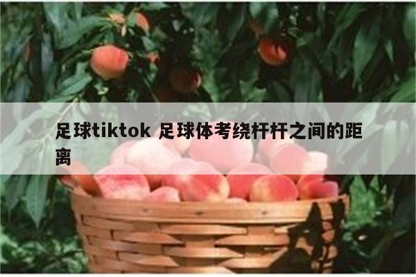 足球tiktok 足球体考绕杆杆之间的距离