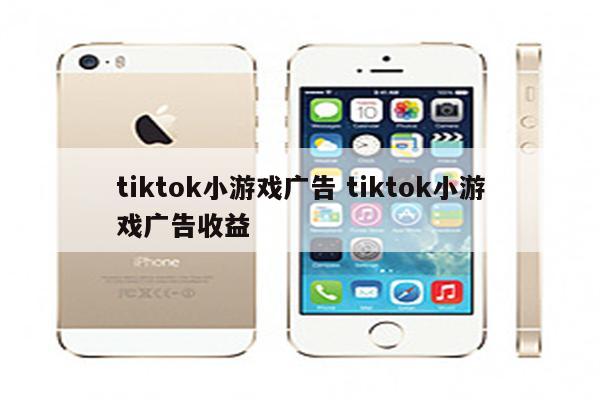 tiktok小游戏广告 tiktok小游戏广告收益