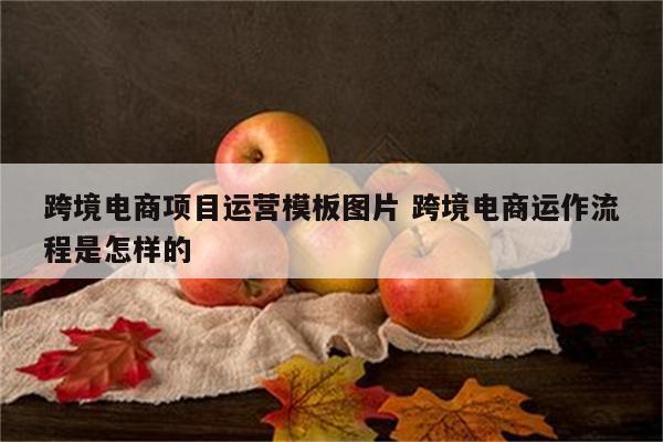 跨境电商项目运营模板图片 跨境电商运作流程是怎样的