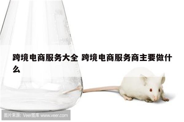 跨境电商服务大全 跨境电商服务商主要做什么