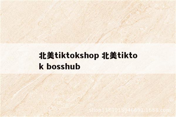 北美tiktokshop 北美tiktok bosshub