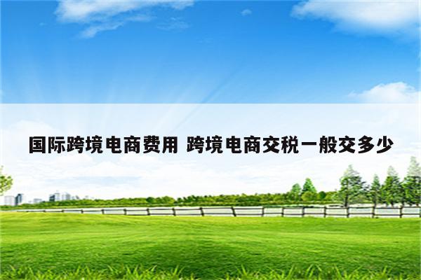 国际跨境电商费用 跨境电商交税一般交多少