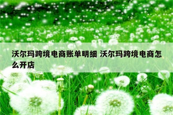 沃尔玛跨境电商账单明细 沃尔玛跨境电商怎么开店