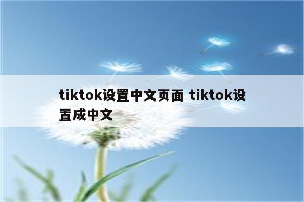tiktok设置中文页面 tiktok设置成中文