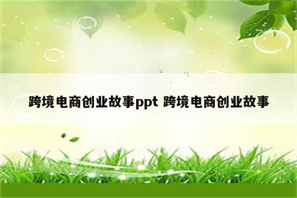 跨境电商创业故事ppt 跨境电商创业故事