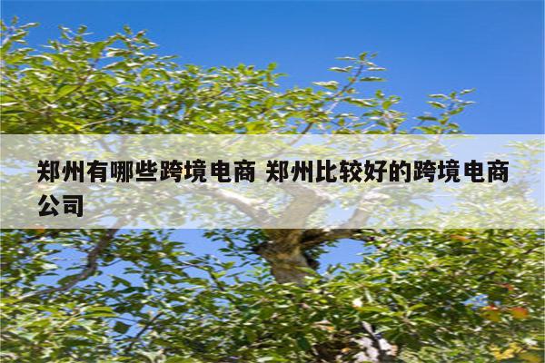 郑州有哪些跨境电商 郑州比较好的跨境电商公司