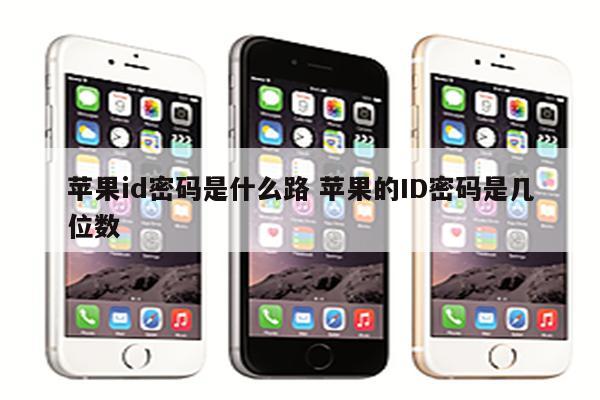 苹果id密码是什么路 苹果的ID密码是几位数