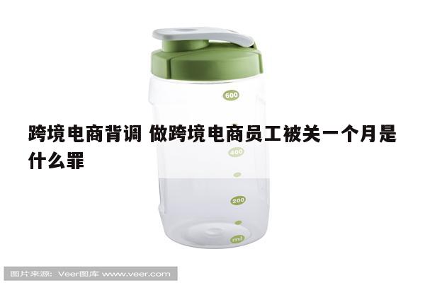 跨境电商背调 做跨境电商员工被关一个月是什么罪