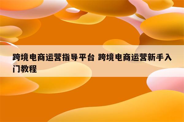 跨境电商运营指导平台 跨境电商运营新手入门教程
