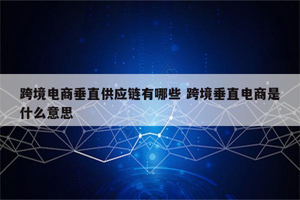 跨境电商垂直供应链有哪些 跨境垂直电商是什么意思